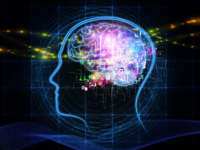 An artistic interpretation of the human brain